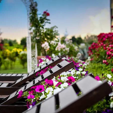 Millefiori La Corte Delle Rose Farm stay