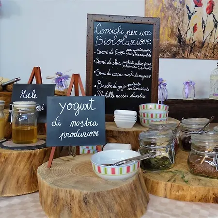 Farm stay Millefiori La Corte Delle Rose *